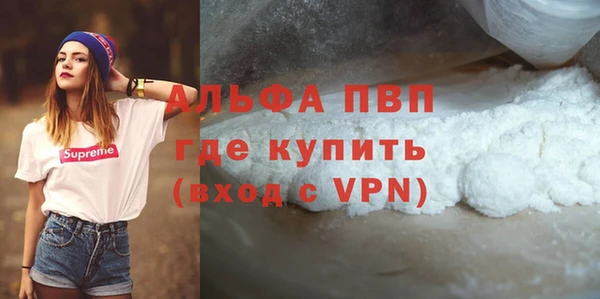 эйфоретик Богданович