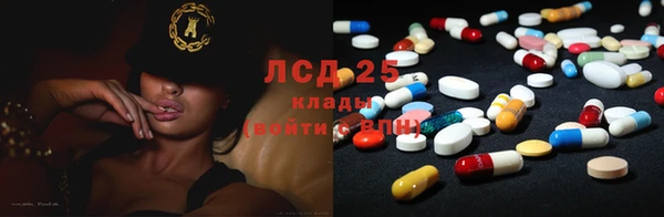трава Богородицк
