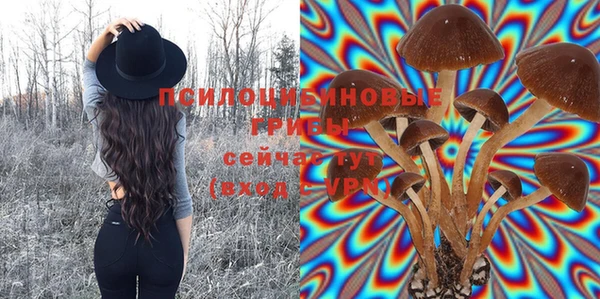 трава Богородицк